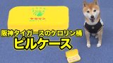 【新入荷】阪神タイガースのケロリン桶「生涯虎湯」エコバッグ・ピルケース・シャワーサンダルが待望の入荷！