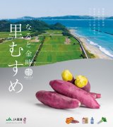 徳島県産・最上級なると金時「里むすめ」販売開始のお知らせ