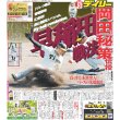 画像1: 岡田監督秘策伝授 デイリースポーツ（東京宅配版）2022年11月11日付 (1)