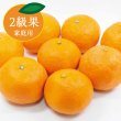 画像1: 【幻の春みかん】カラマンダリン(2級果家庭用約5kg) (1)