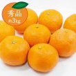 画像1: 【幻の春みかん】カラマンダリン(秀品約3kg) (1)
