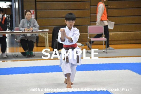 画像1: 山田派糸東流修交会268 (1)