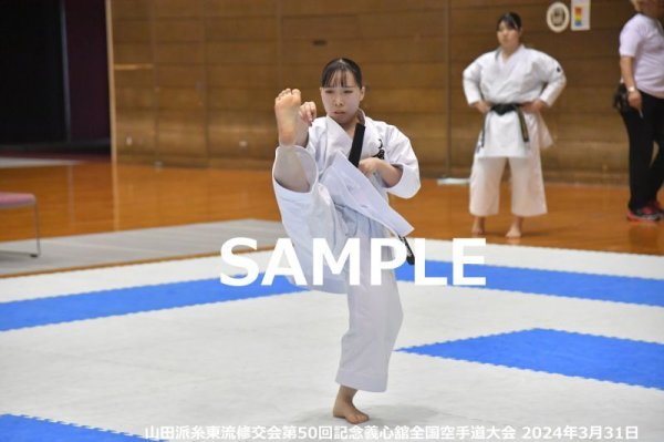 画像1: 山田派糸東流修交会309 (1)