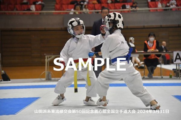 画像1: 山田派糸東流修交会458 (1)