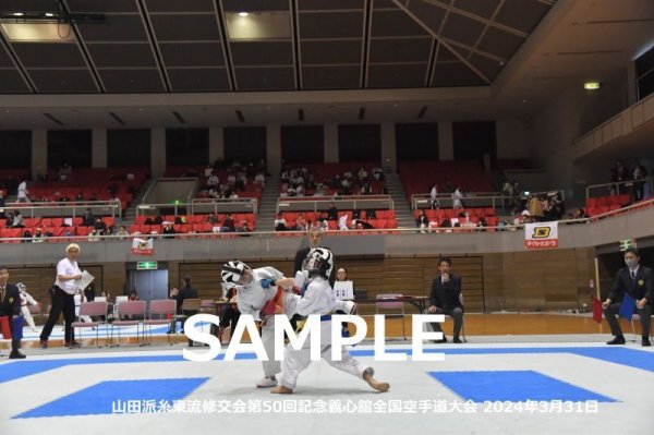画像1: 山田派糸東流修交会424 (1)
