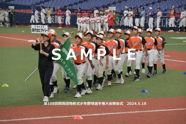 画像1: 第108回　開会式84 (1)