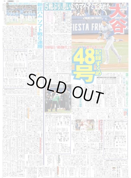 画像3: 右京 V打　1.5差5連勝（東京版）2024年9月19日付 (3)
