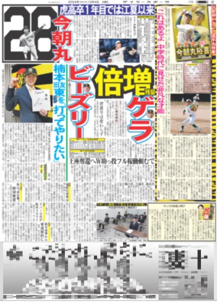 画像5: SEVENTEEN in 東京D 日本のCARATに愛伝える(東京エリア限定版)2024年12月4日付 (5)