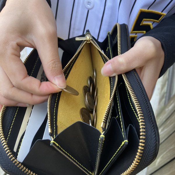 画像9: 【阪神タイガース×兵庫ジビエ鹿革＆牛革】ラウンドファスナー長財布 (9)