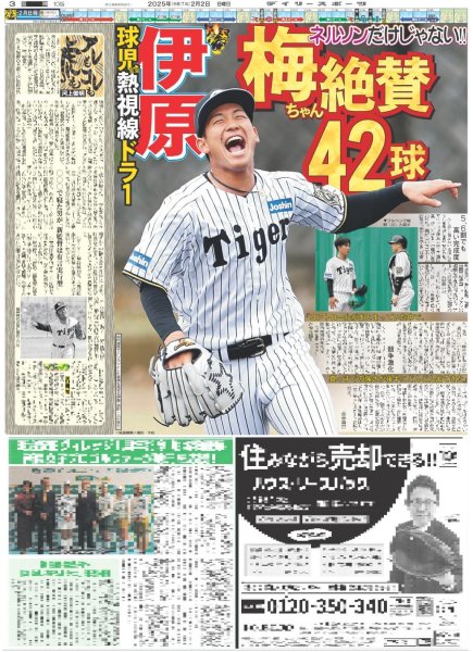 画像2: ネルソン ホンマに魔球やん(東京版)2025年2月2日付 (2)