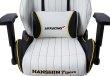 画像6: AKRacing　阪神タイガースチェア (6)