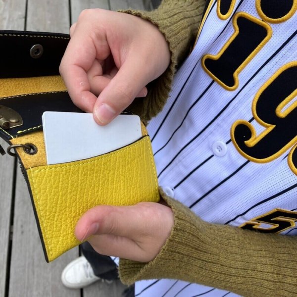 画像7: 【阪神タイガース× 兵庫ジビエ鹿革&牛革】5連キーケース (7)