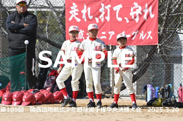 画像1: 第109回関西団地少年野球（20日開催A）16 (1)