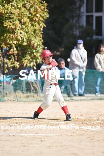 画像1: 第109回関西団地少年野球（20日開催A）28 (1)
