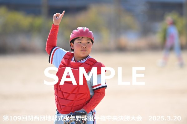 画像1: 第109回関西団地少年野球（20日開催B）8 (1)