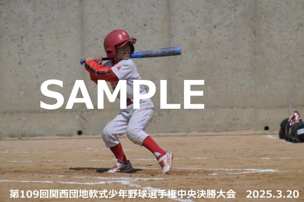 画像1: 第109回関西団地少年野球（20日開催F）9 (1)