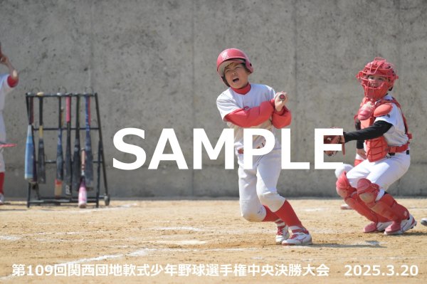 画像1: 第109回関西団地少年野球（20日開催F）27 (1)