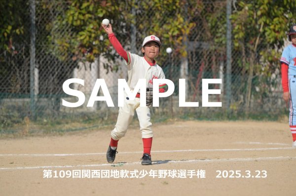 画像1: 第109回関西団地少年野球（23日開催L）11 (1)