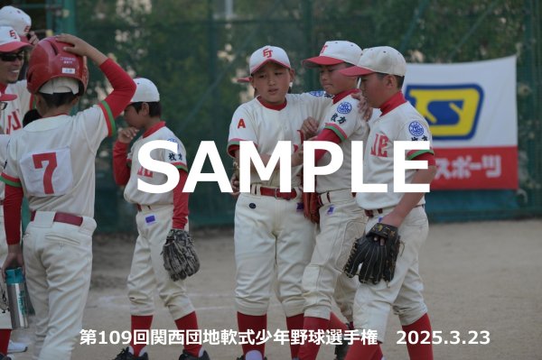 画像1: 第109回関西団地少年野球（23日開催L）20 (1)