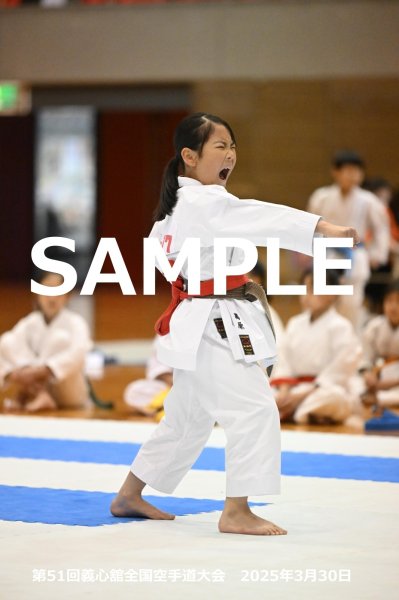 画像1: 第51回義心舘全国空手道大会27 (1)