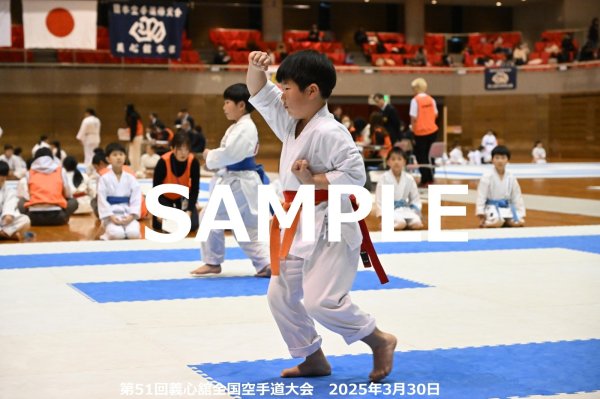 画像1: 第51回義心舘全国空手道大会30 (1)