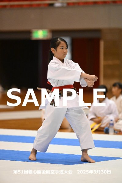画像1: 第51回義心舘全国空手道大会26 (1)