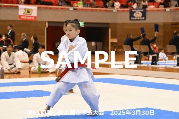画像1: 第51回義心舘全国空手道大会40 (1)