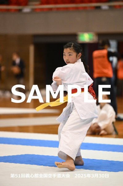 画像1: 第51回義心舘全国空手道大会16 (1)