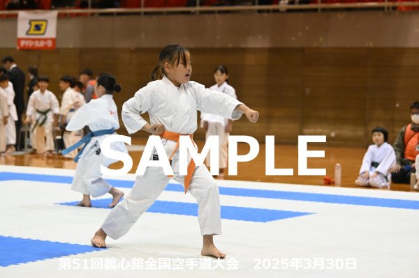 画像1: 第51回義心舘全国空手道大会94 (1)