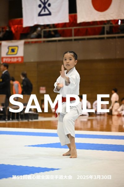 画像1: 第51回義心舘全国空手道大会91 (1)