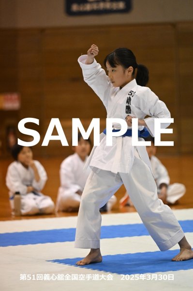 画像1: 第51回義心舘全国空手道大会96 (1)