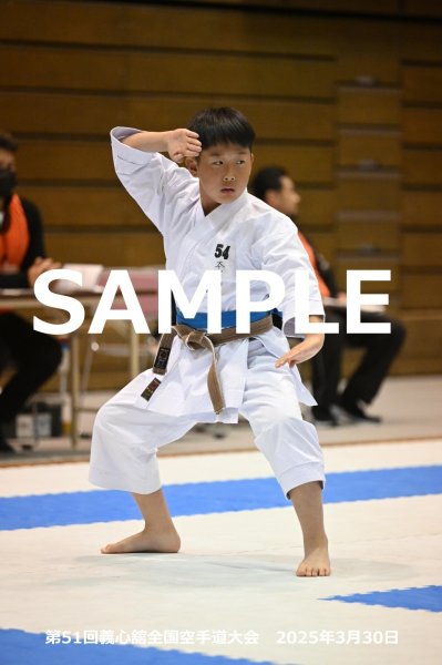画像1: 第51回義心舘全国空手道大会97 (1)