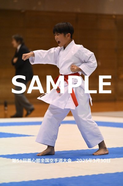 画像1: 第51回義心舘全国空手道大会116 (1)