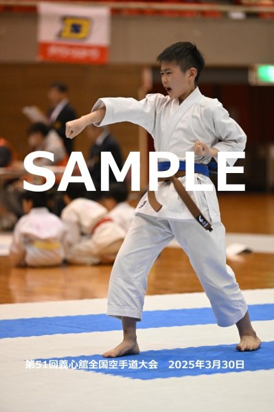 画像1: 第51回義心舘全国空手道大会126 (1)