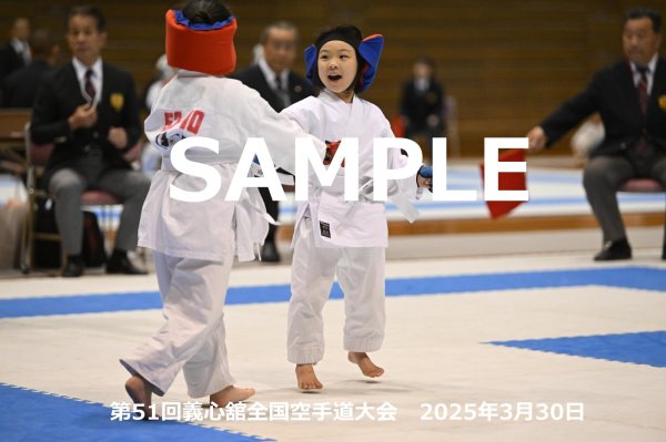画像1: 第51回義心舘全国空手道大会167 (1)