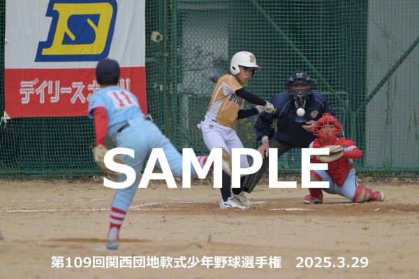 画像1: 第109回関西団地少年野球（29日開催N）13 (1)