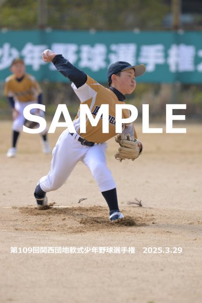 画像1: 第109回関西団地少年野球（29日開催N）3 (1)