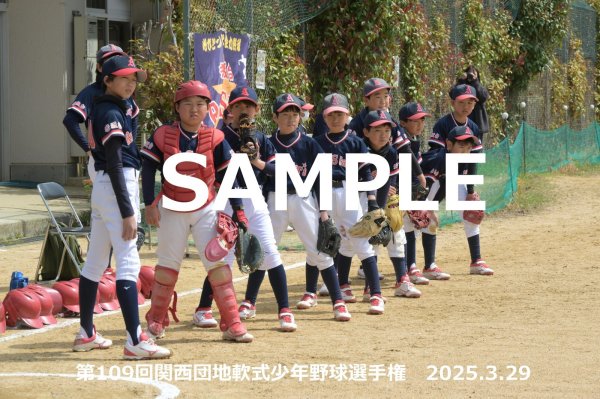 画像1: 第109回関西団地少年野球（29日開催M）2 (1)