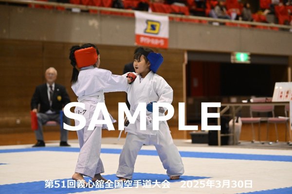 画像1: 第51回義心舘全国空手道大会187 (1)