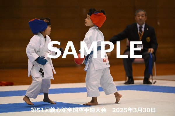 画像1: 第51回義心舘全国空手道大会173 (1)