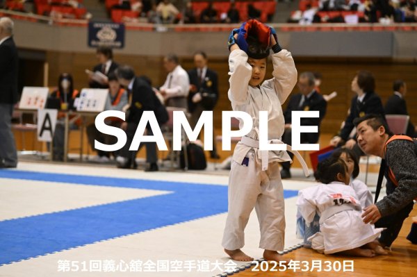 画像1: 第51回義心舘全国空手道大会194 (1)