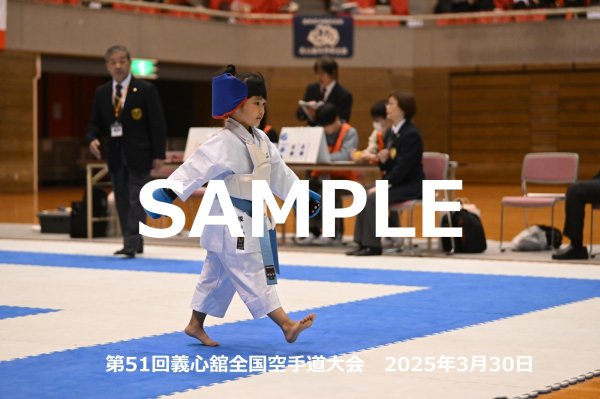 画像1: 第51回義心舘全国空手道大会182 (1)