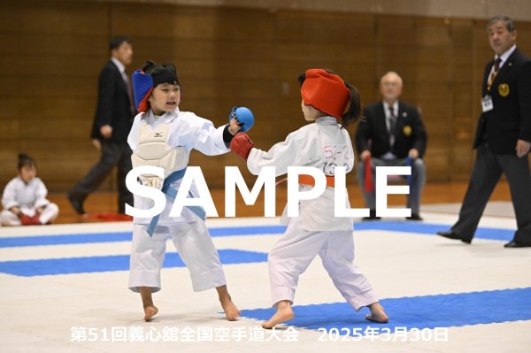 画像1: 第51回義心舘全国空手道大会179 (1)