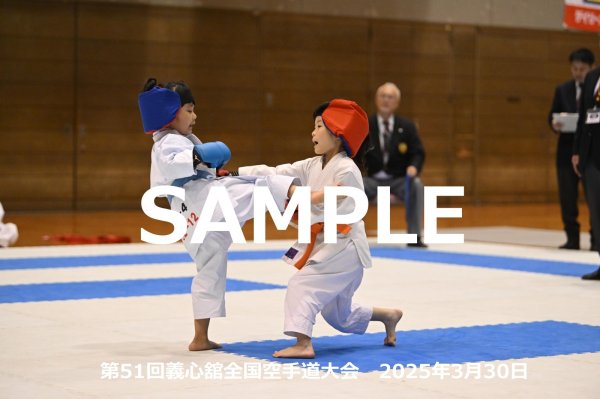 画像1: 第51回義心舘全国空手道大会181 (1)