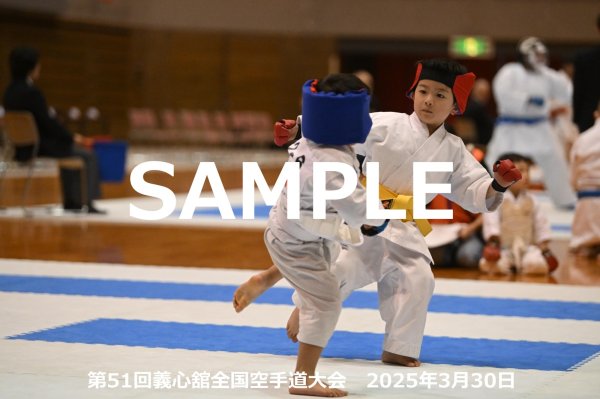 画像1: 第51回義心舘全国空手道大会215 (1)