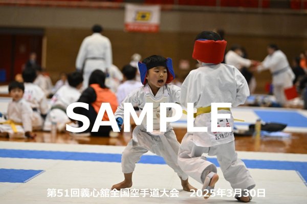 画像1: 第51回義心舘全国空手道大会219 (1)