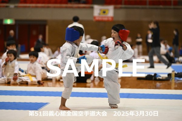 画像1: 第51回義心舘全国空手道大会220 (1)