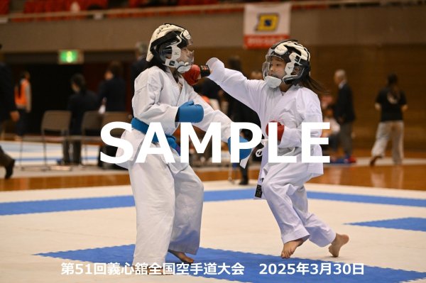 画像1: 第51回義心舘全国空手道大会223 (1)