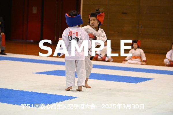 画像1: 第51回義心舘全国空手道大会198 (1)