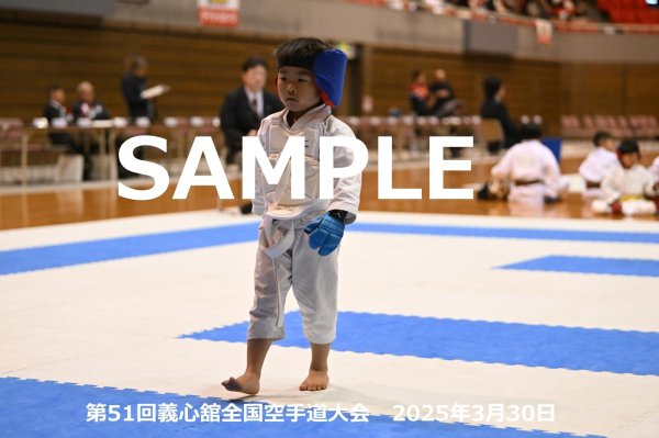 画像1: 第51回義心舘全国空手道大会217 (1)
